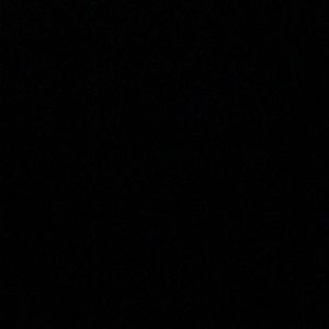 Meet your Posher, Stella